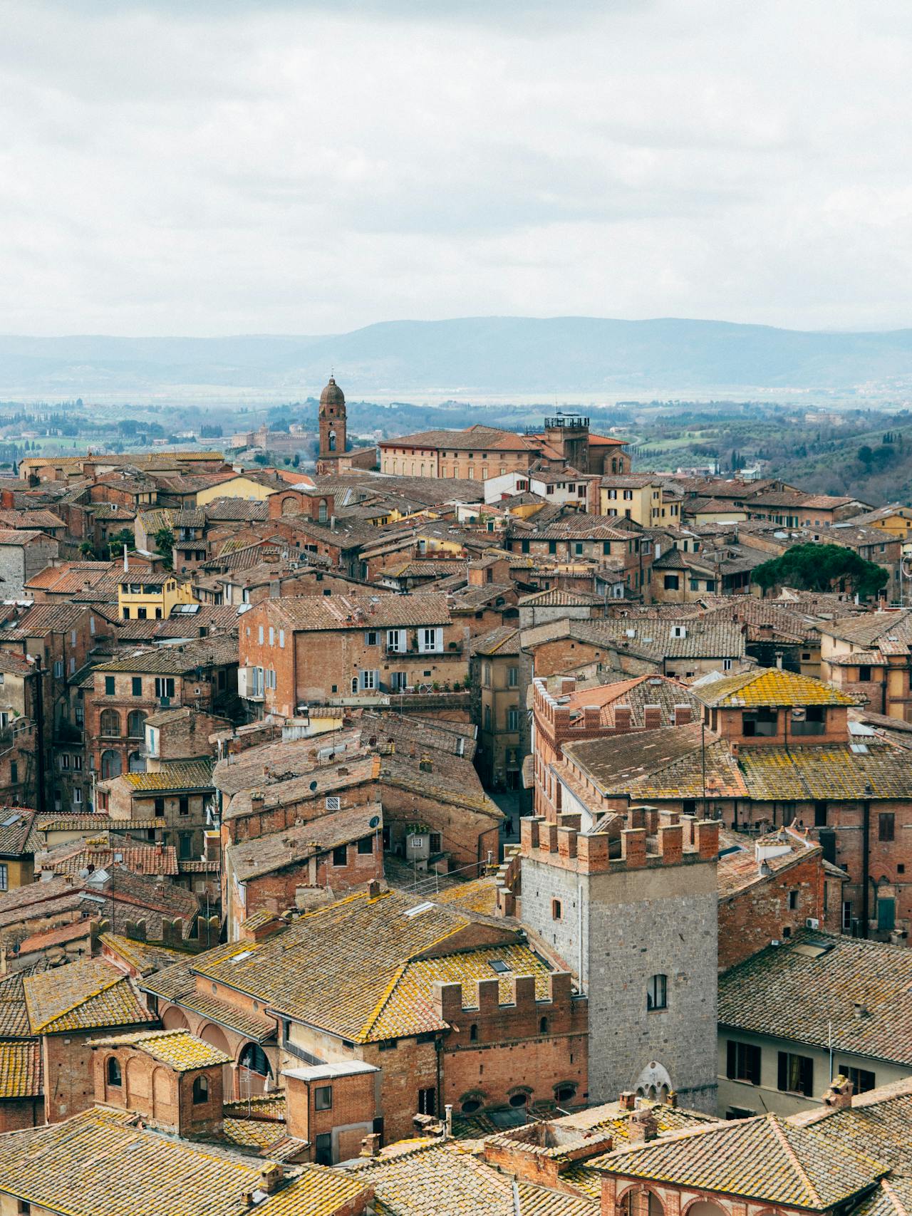 What's Driving the Growing Interest in Italian Decor in Britain?