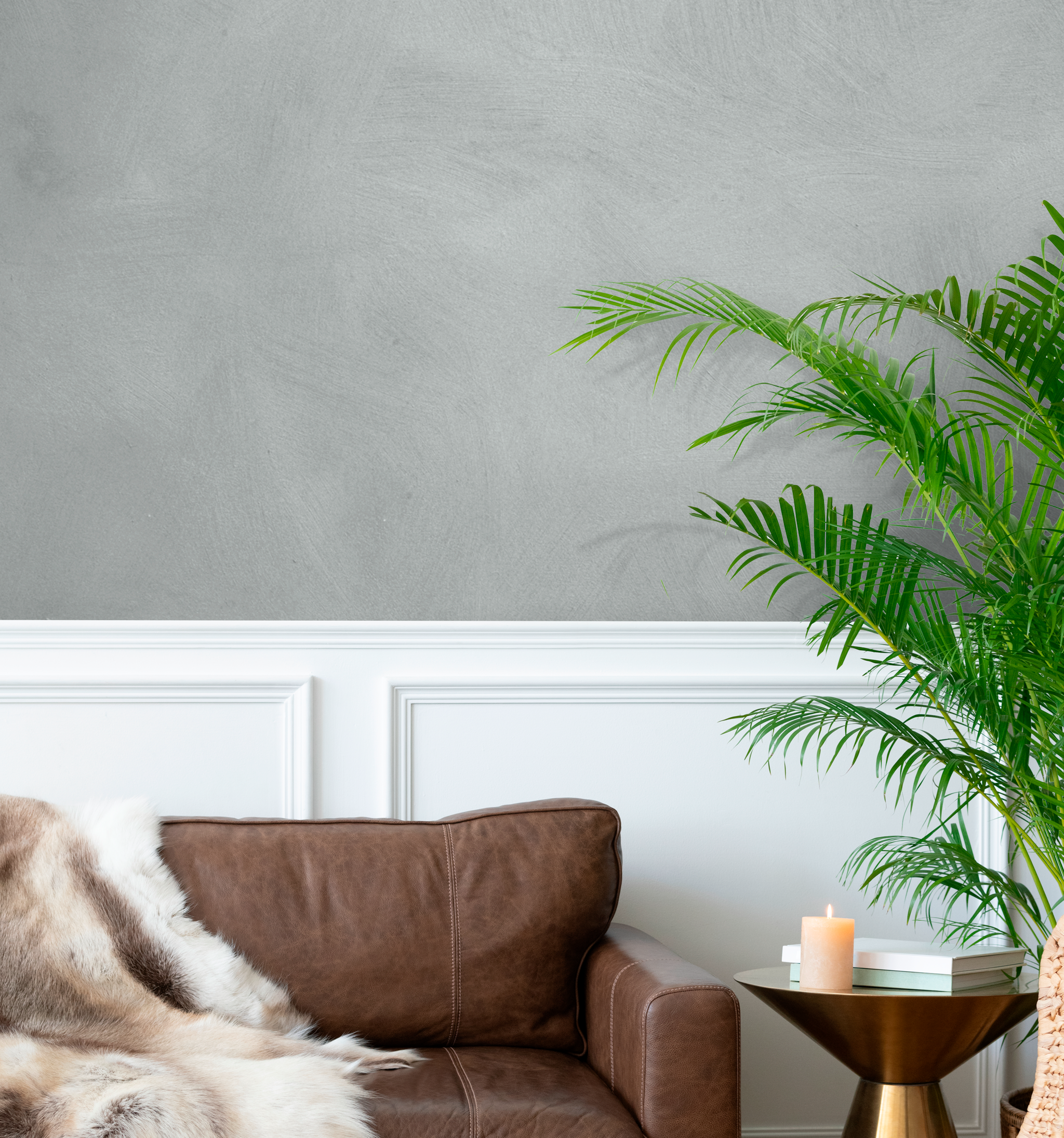 Concrete Paint Bundle - Lime Based Powdered Decorative Paint Bundle For 5sqm