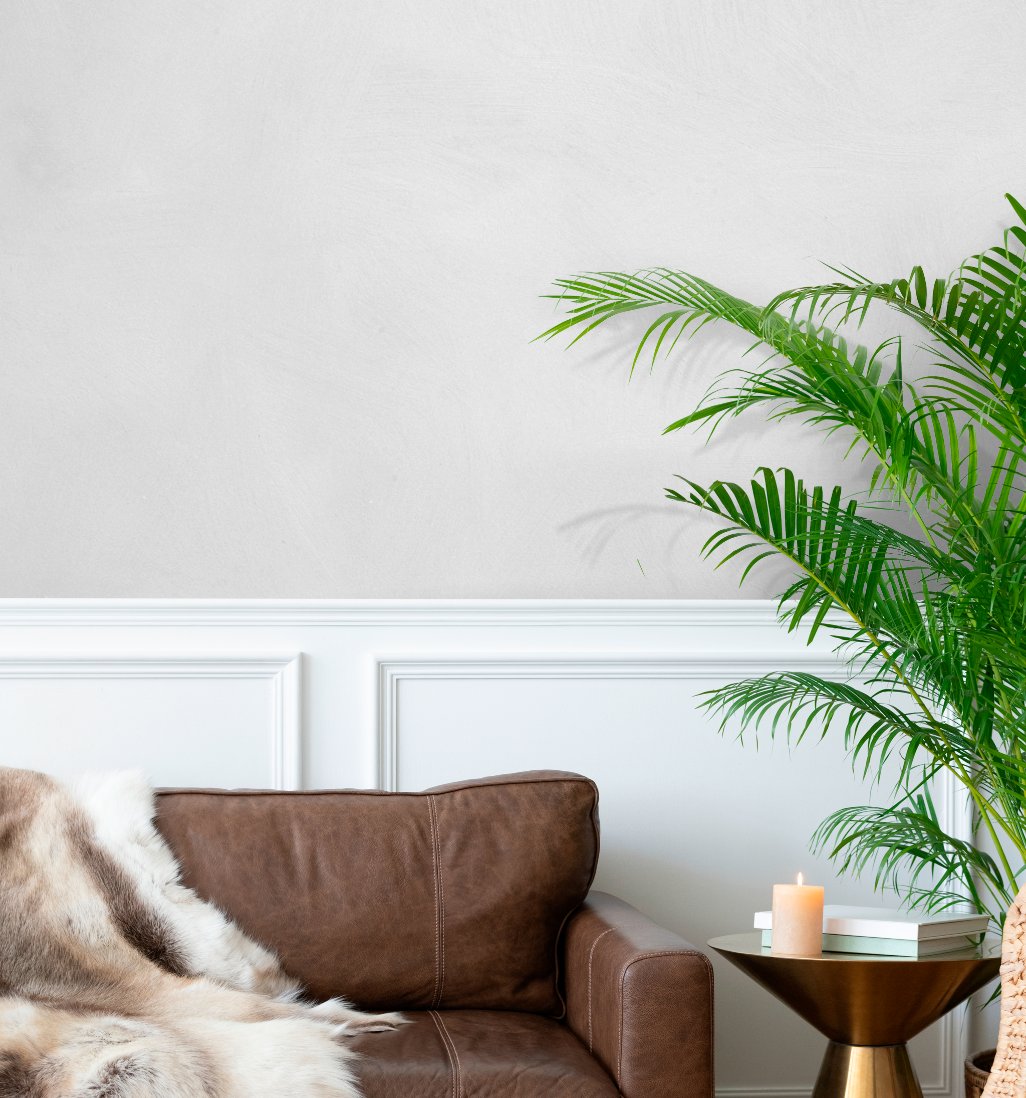 Concrete Paint Bundle - Lime Based Powdered Decorative Paint Bundle For 5sqm