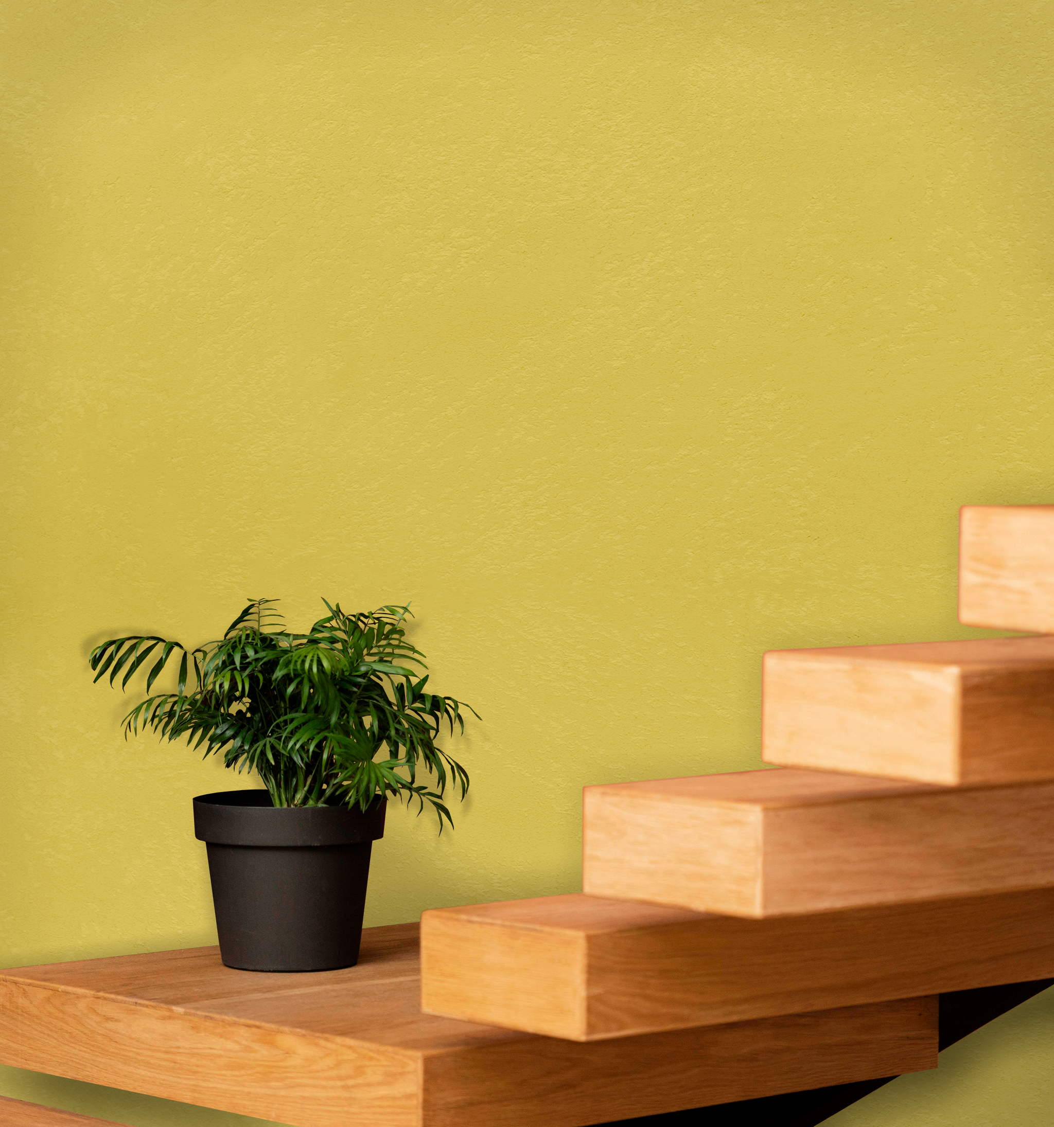 Marmorino Fine - Lime-Based, Semi-Fine Grain Venetian Plaster