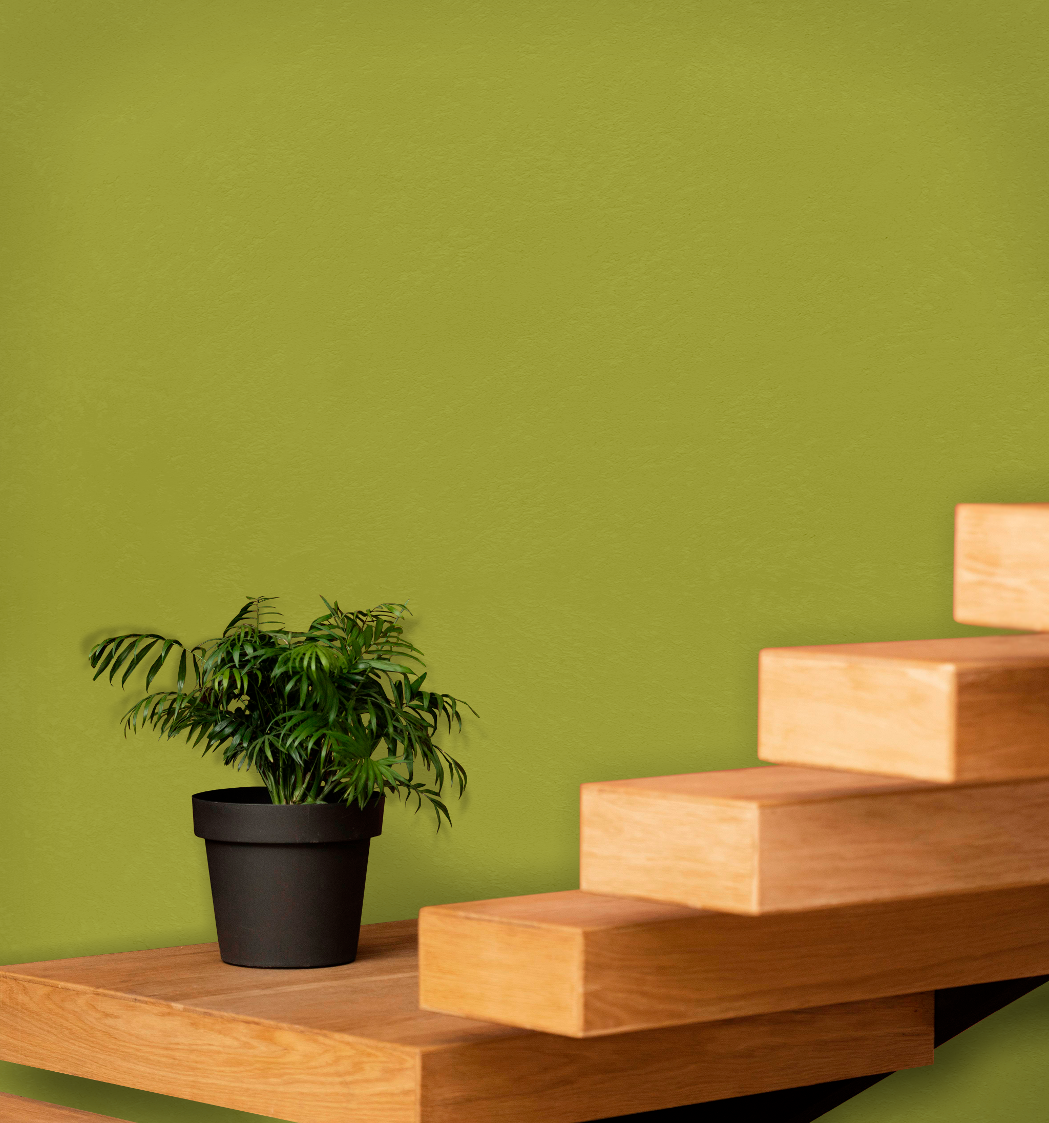 Marmorino Fine - Lime-Based, Semi-Fine Grain Venetian Plaster