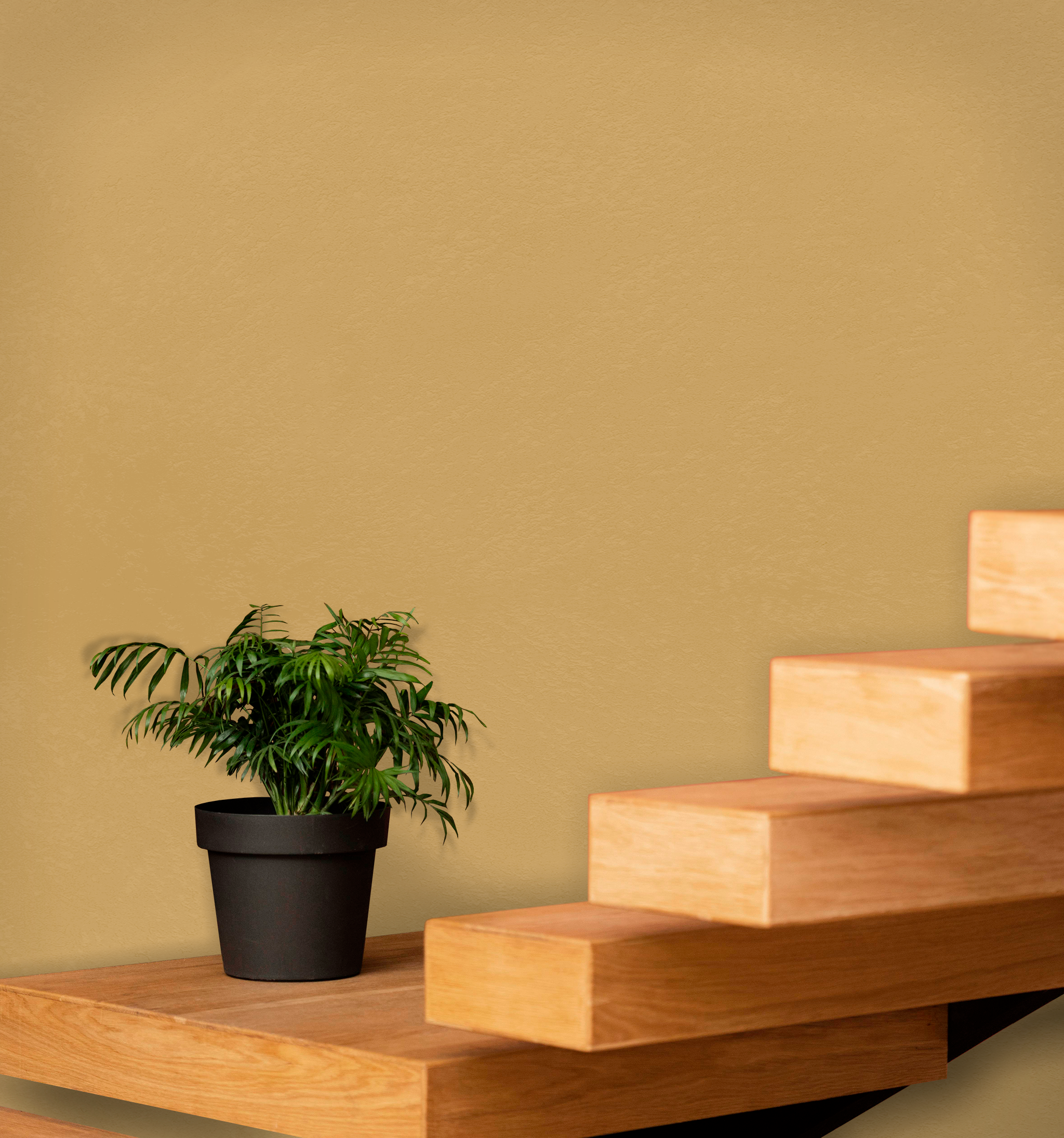 Marmorino Fine - Lime-Based, Semi-Fine Grain Venetian Plaster