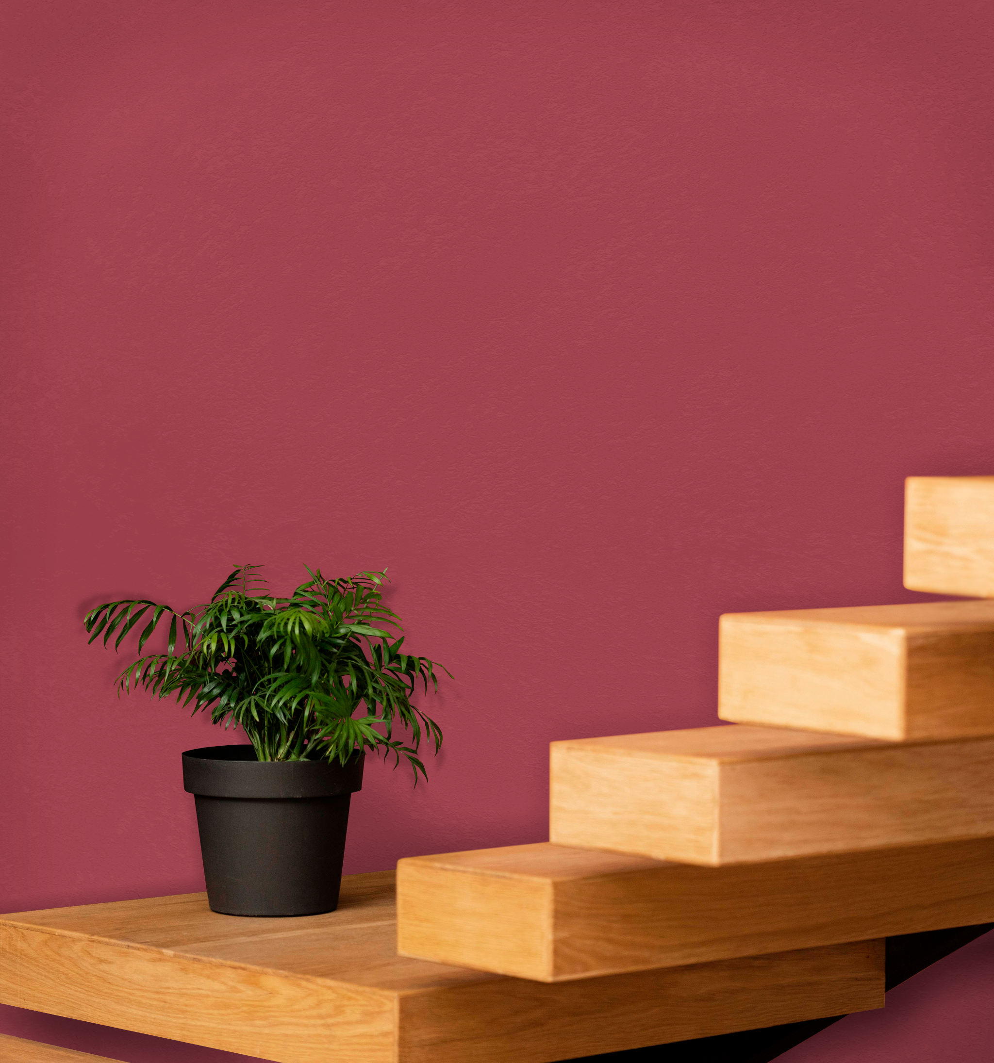 Marmorino Fine - Lime-Based, Semi-Fine Grain Venetian Plaster
