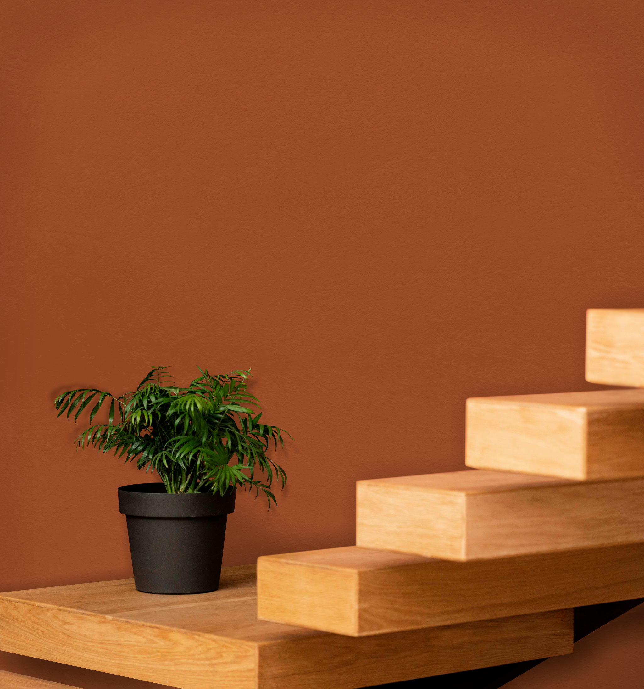 Marmorino Fine - Lime-Based, Semi-Fine Grain Venetian Plaster