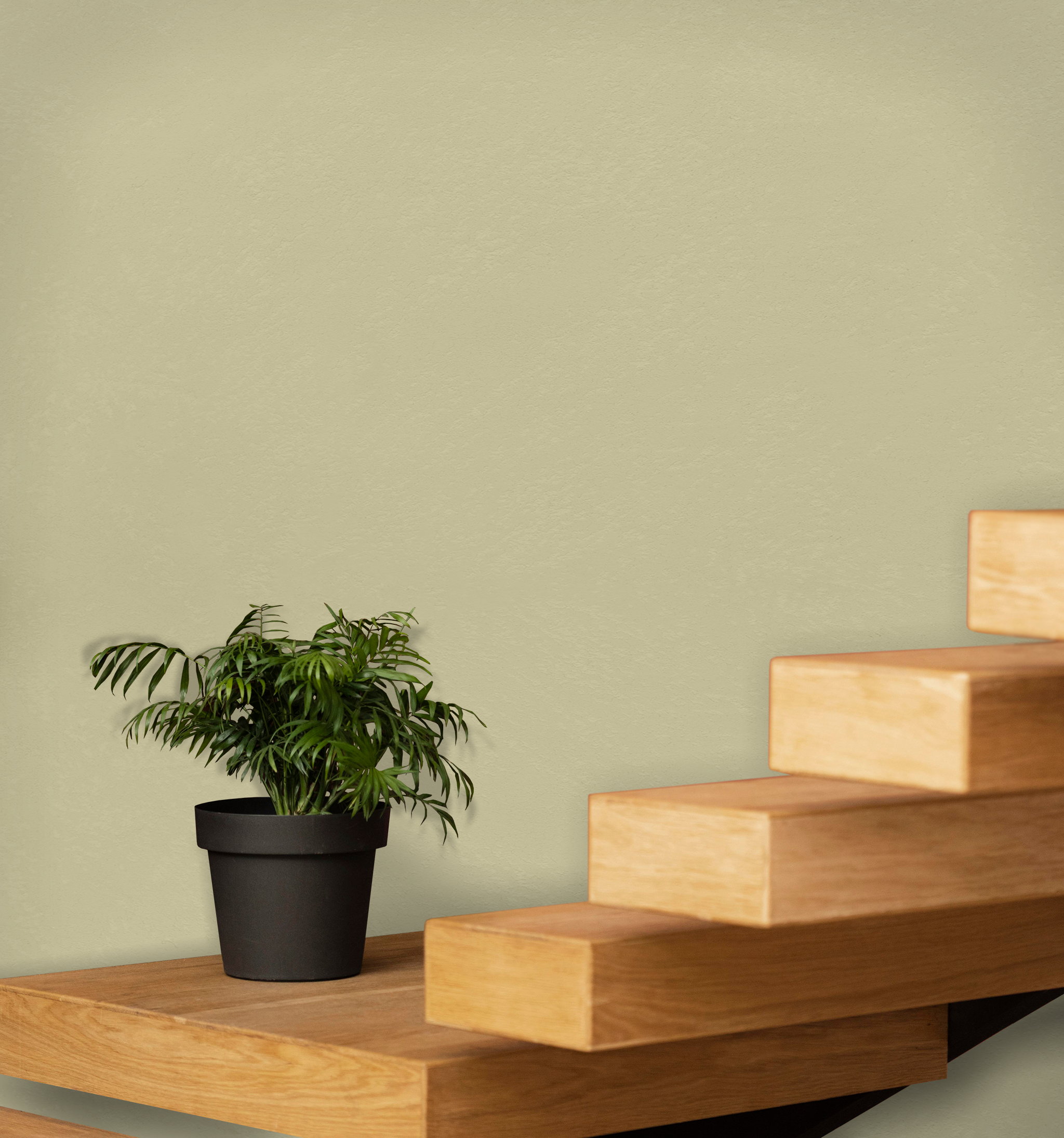 Marmorino Fine - Lime-Based, Semi-Fine Grain Venetian Plaster