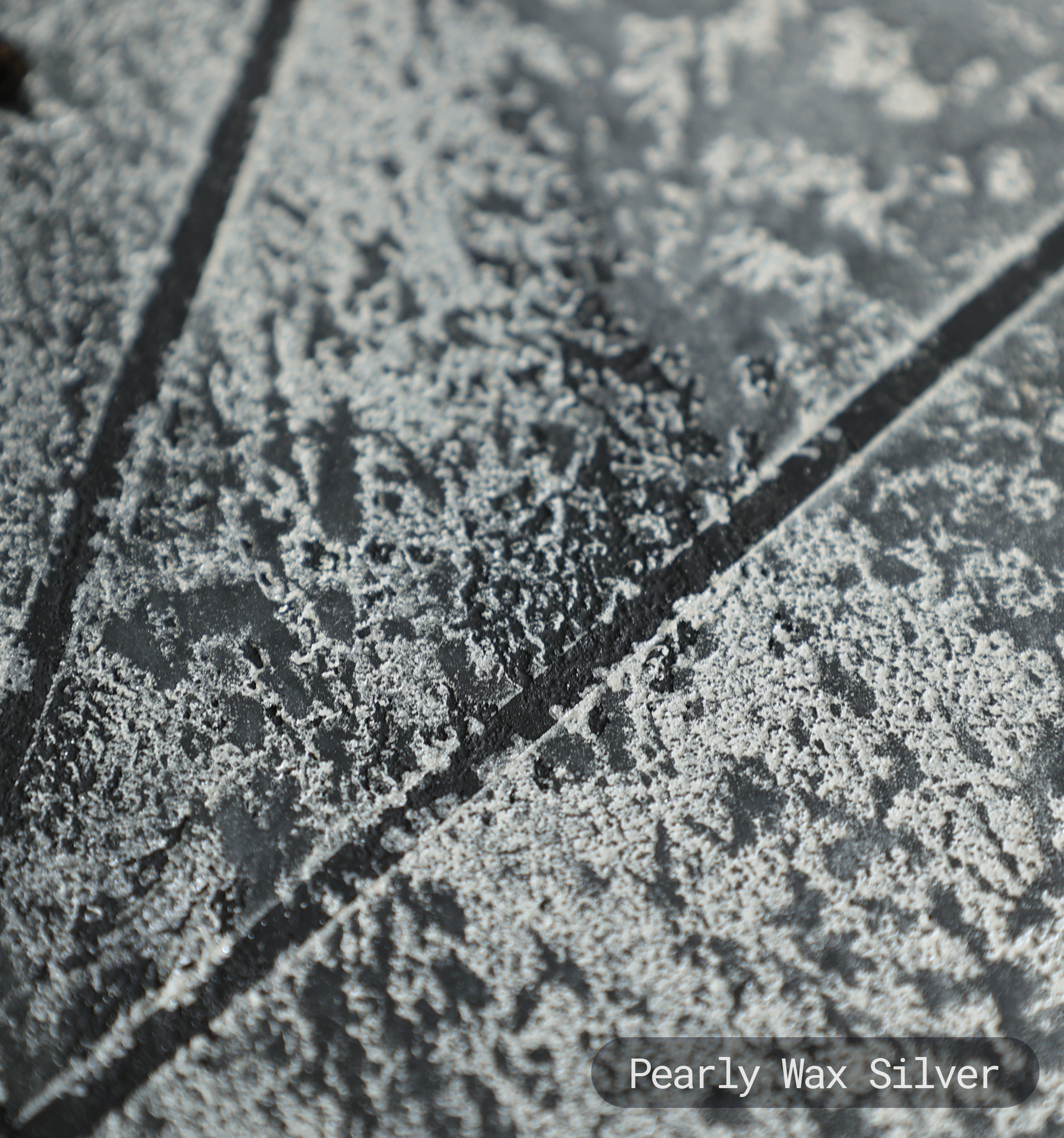 Intense Pearly Waxes For Decorative Plasters