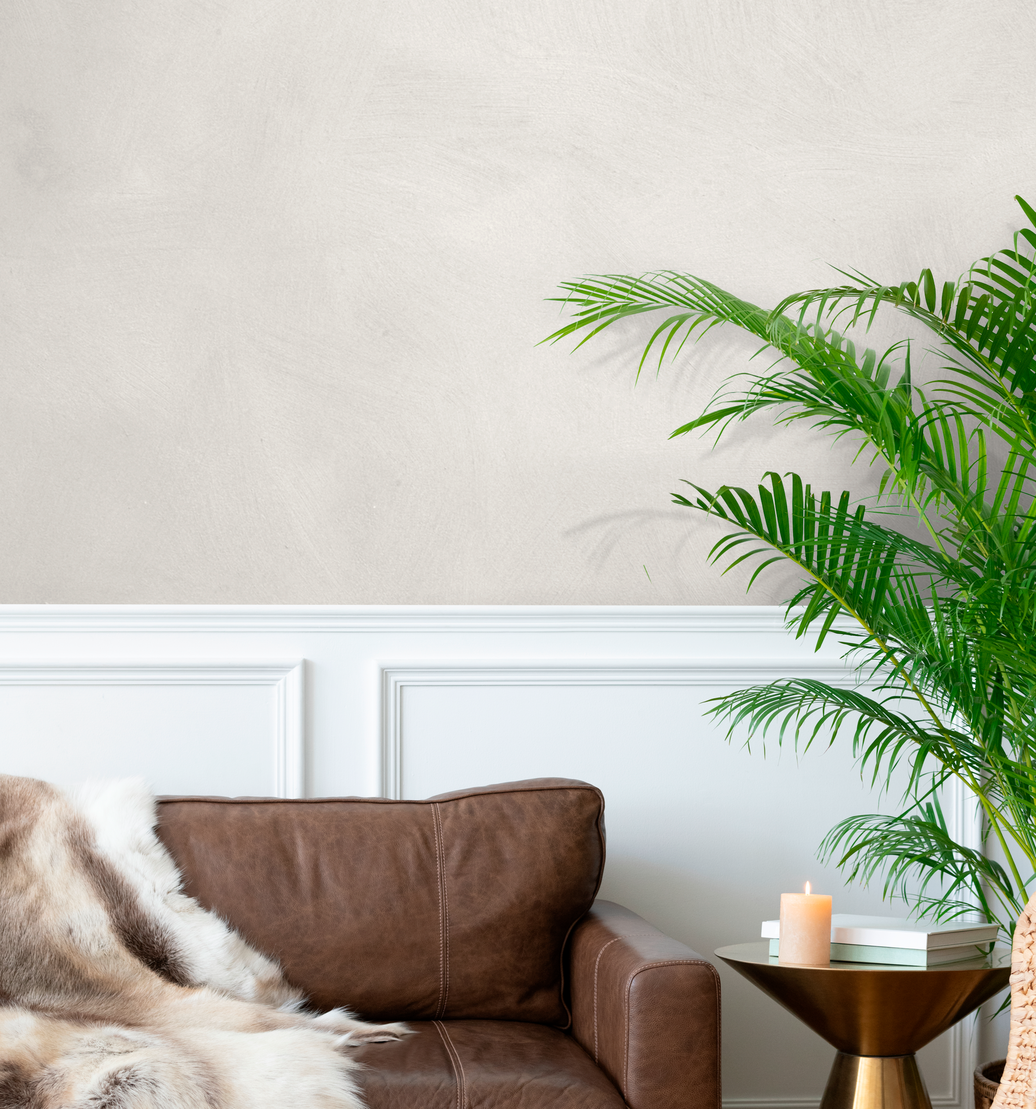 Concrete Paint Bundle - Lime Based Powdered Decorative Paint Bundle For 5sqm