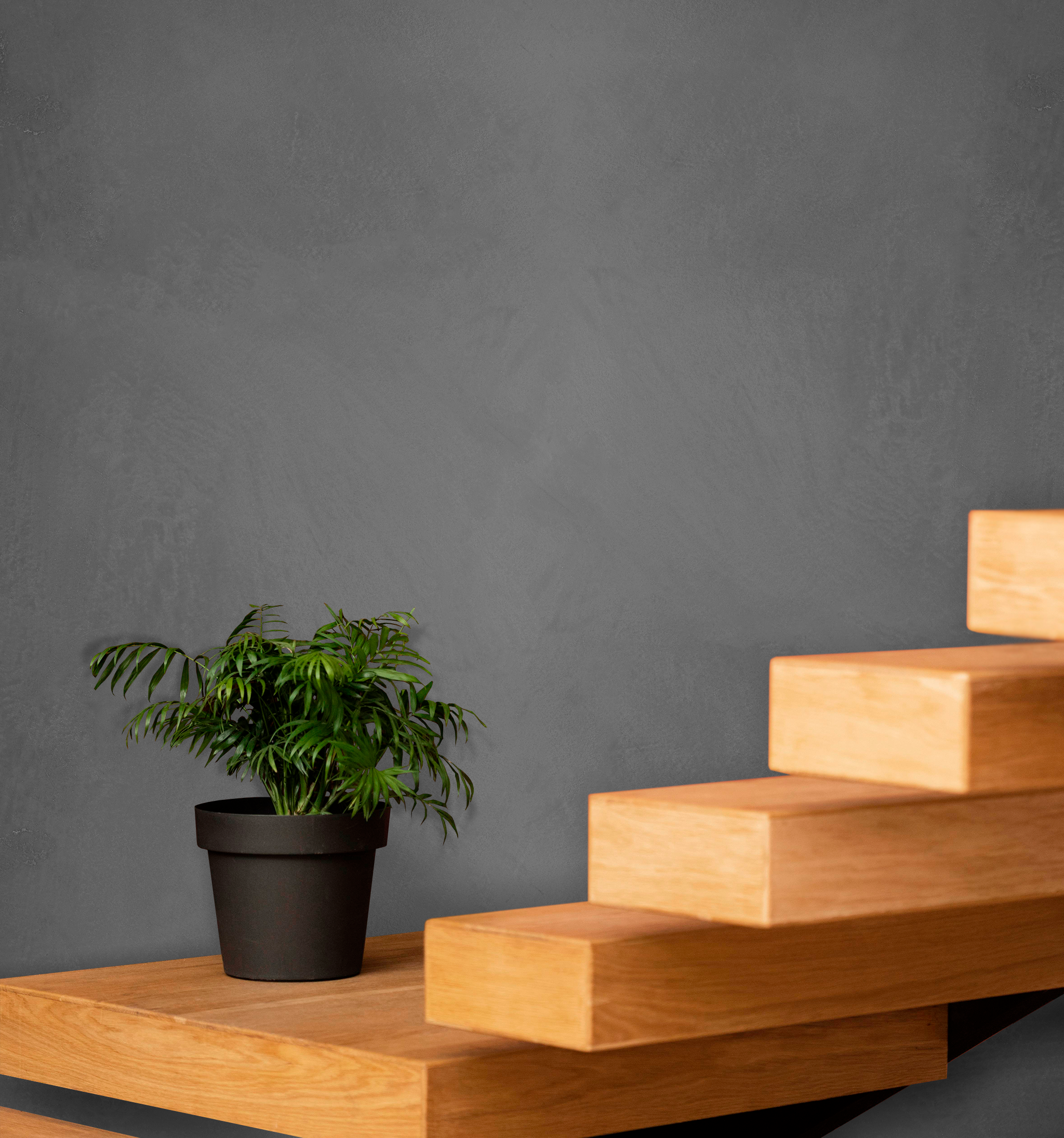 Marmorino Fine - Really Fine Grain Lime-Based Venetian Plaster 1kg (Dark Colours)