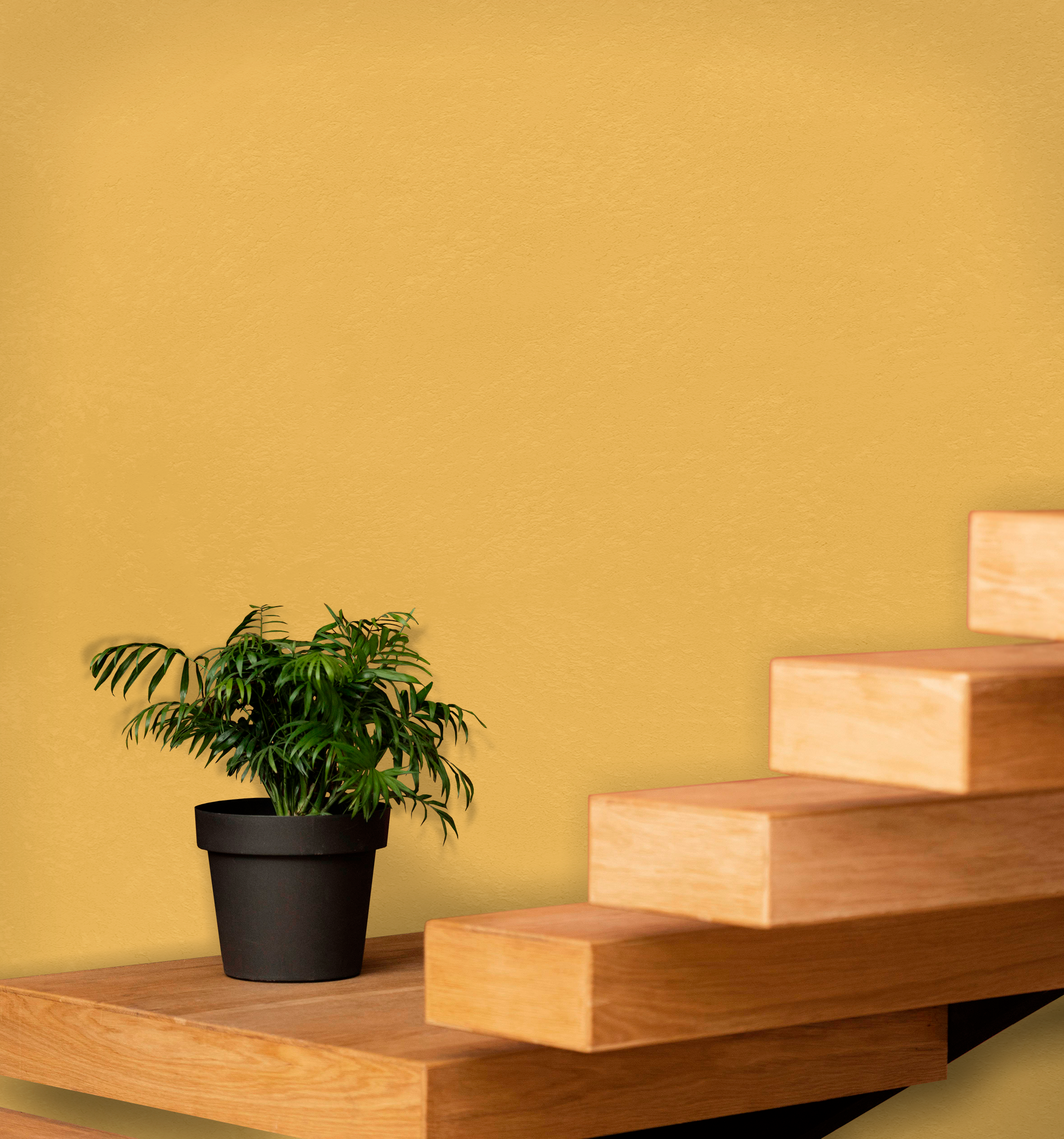 Marmorino Fine - Lime-Based, Semi-Fine Grain Venetian Plaster