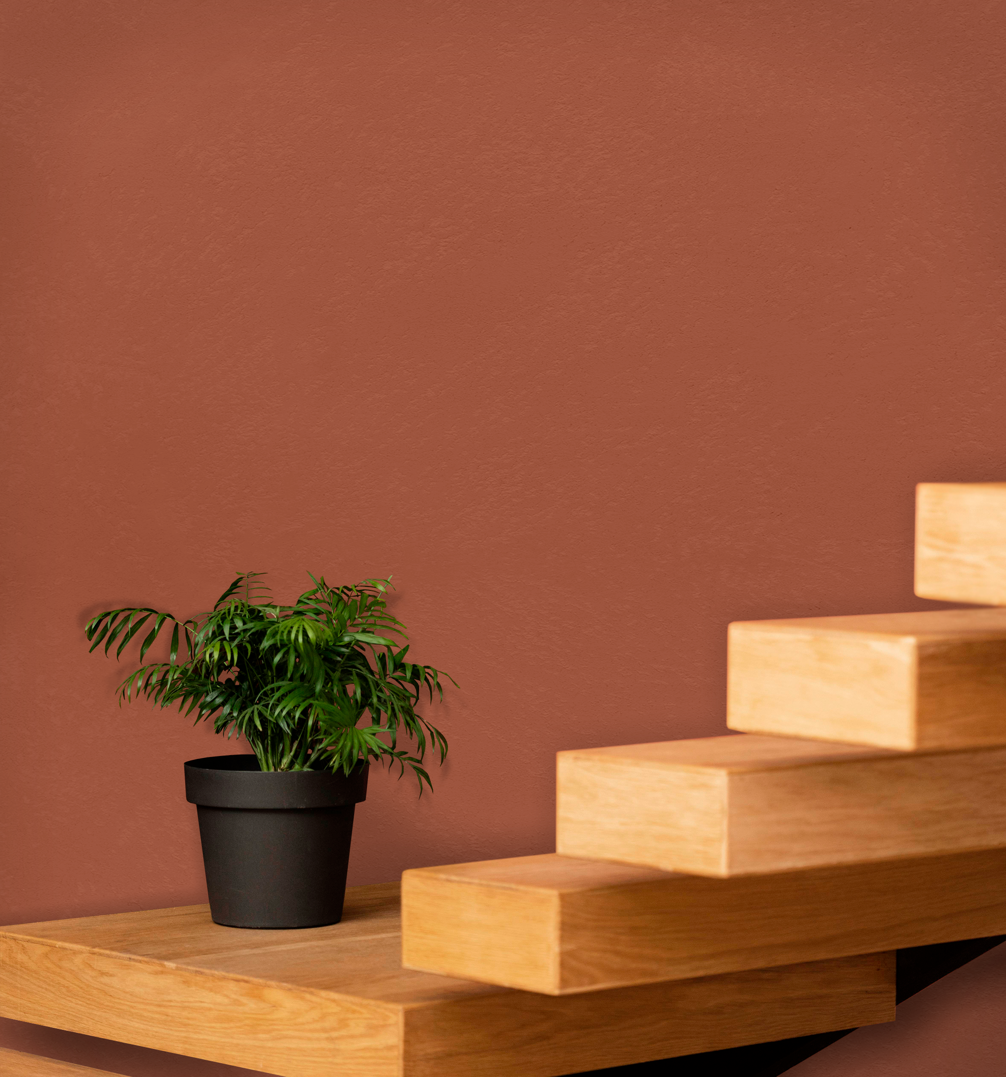 Marmorino Fine - Lime-Based, Semi-Fine Grain Venetian Plaster