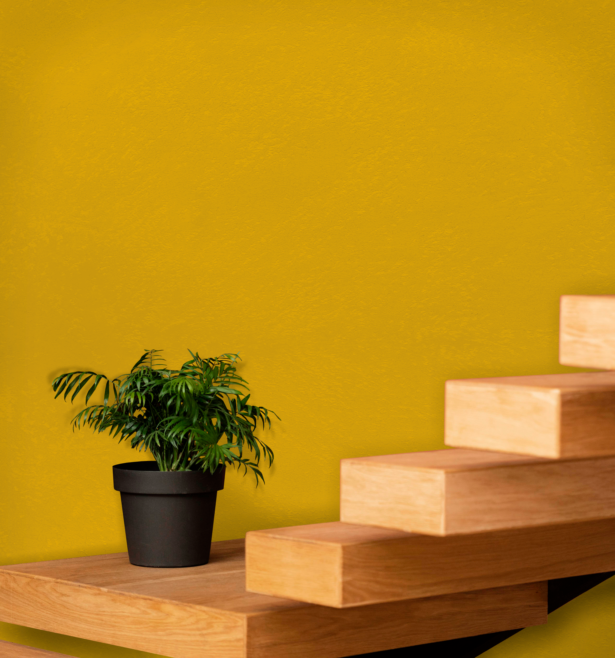 Marmorino Fine - Lime-Based, Semi-Fine Grain Venetian Plaster