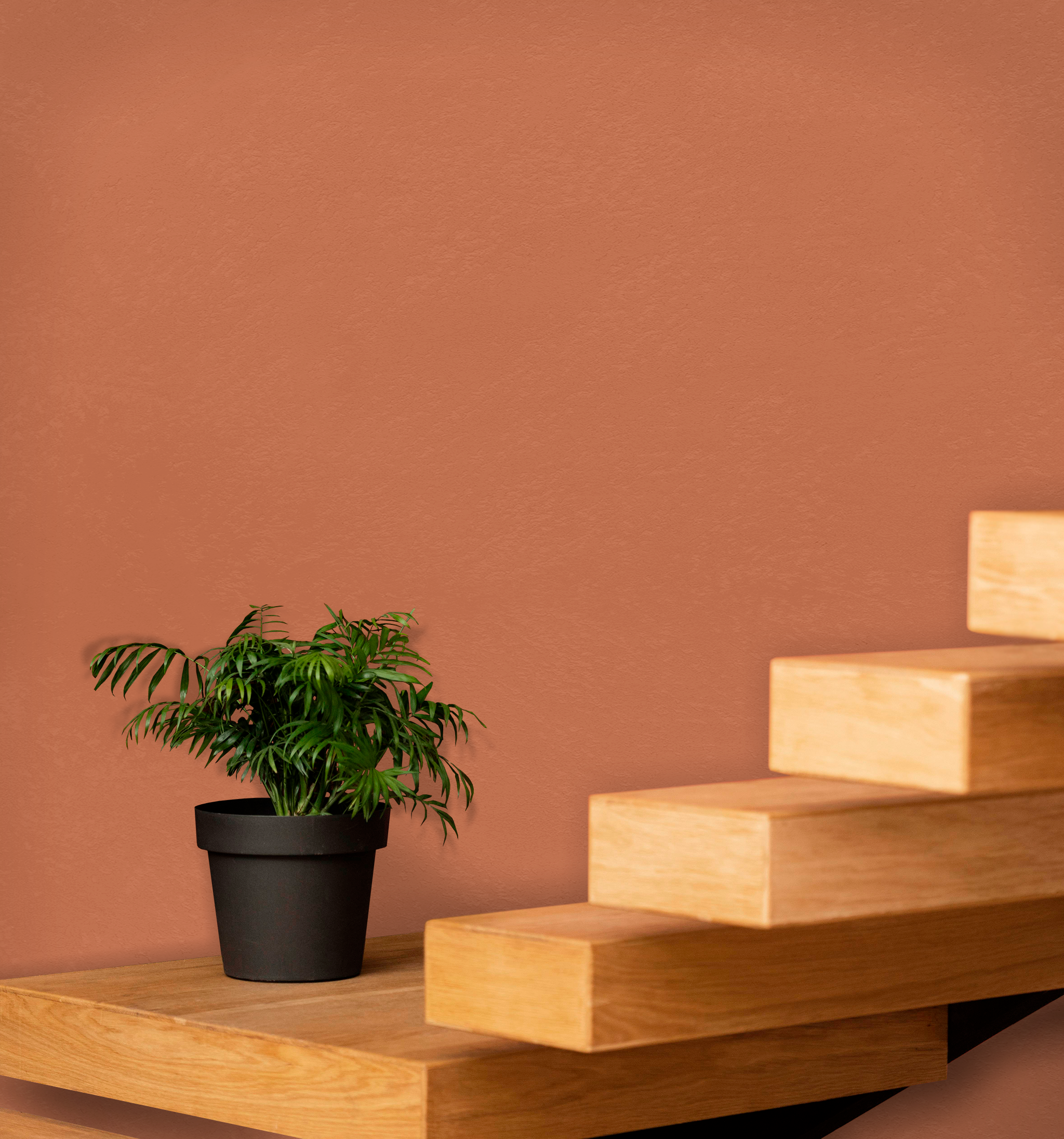 Marmorino Fine - Lime-Based, Semi-Fine Grain Venetian Plaster