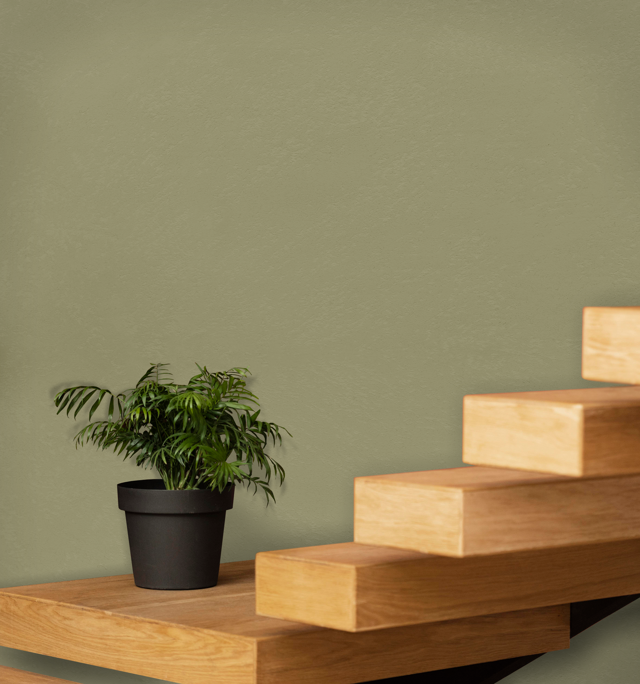 Marmorino Fine - Lime-Based, Semi-Fine Grain Venetian Plaster