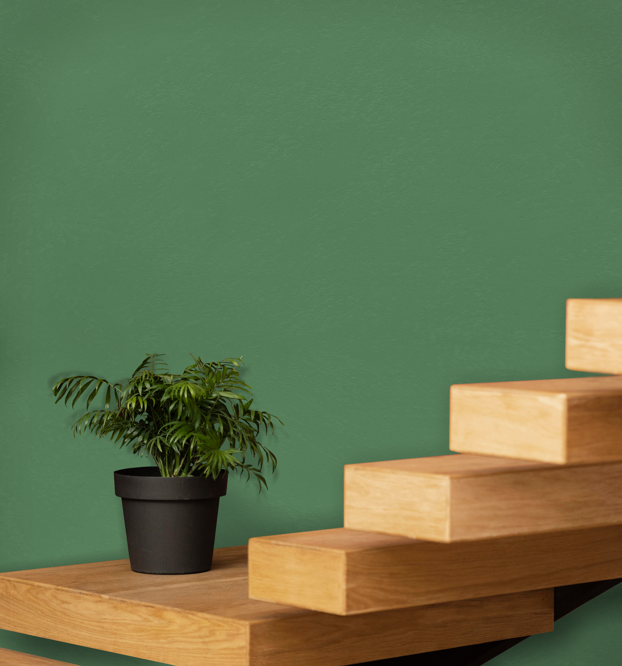 Marmorino Fine - Lime-Based, Semi-Fine Grain Venetian Plaster
