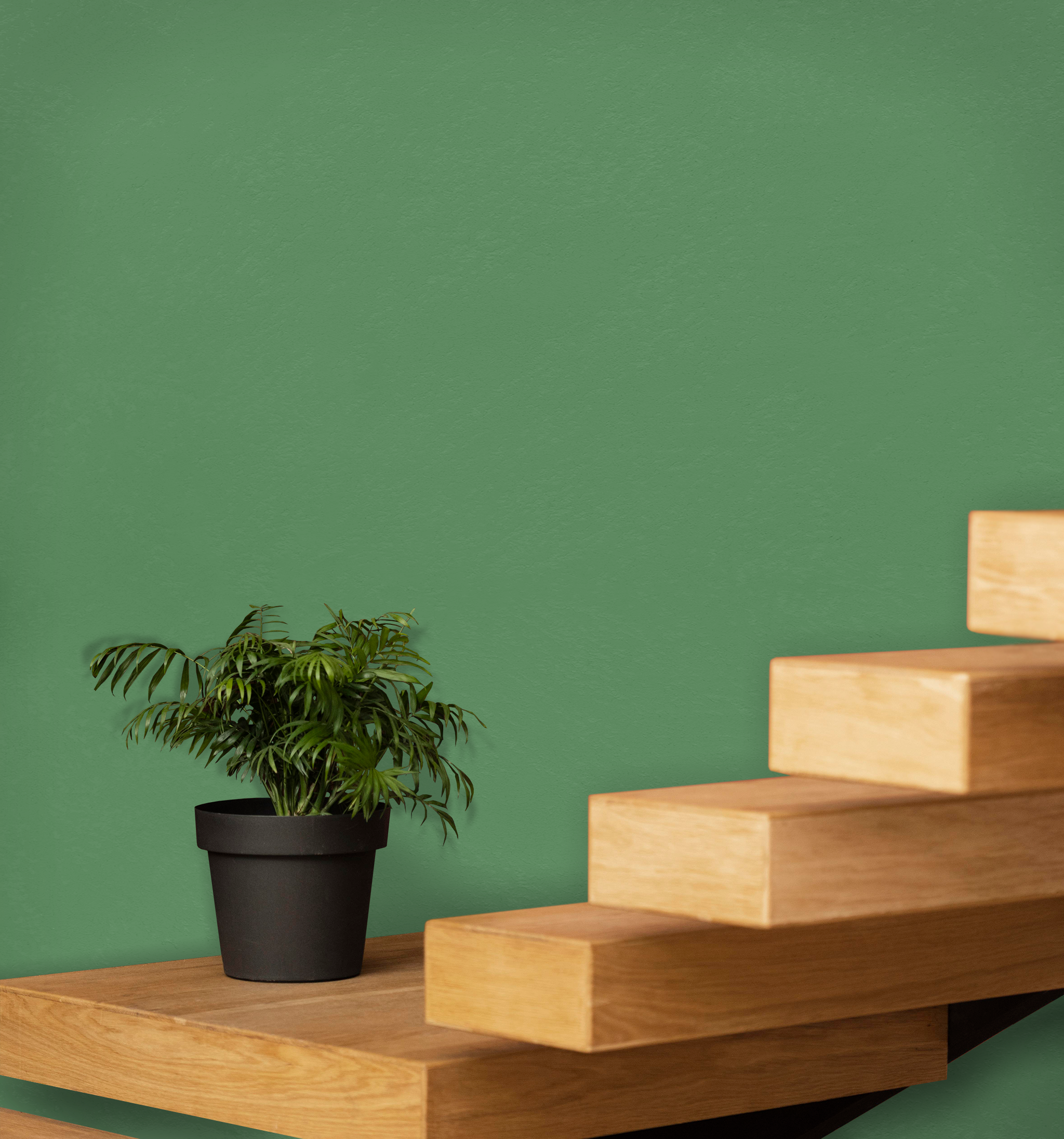 Marmorino Fine - Lime-Based, Semi-Fine Grain Venetian Plaster