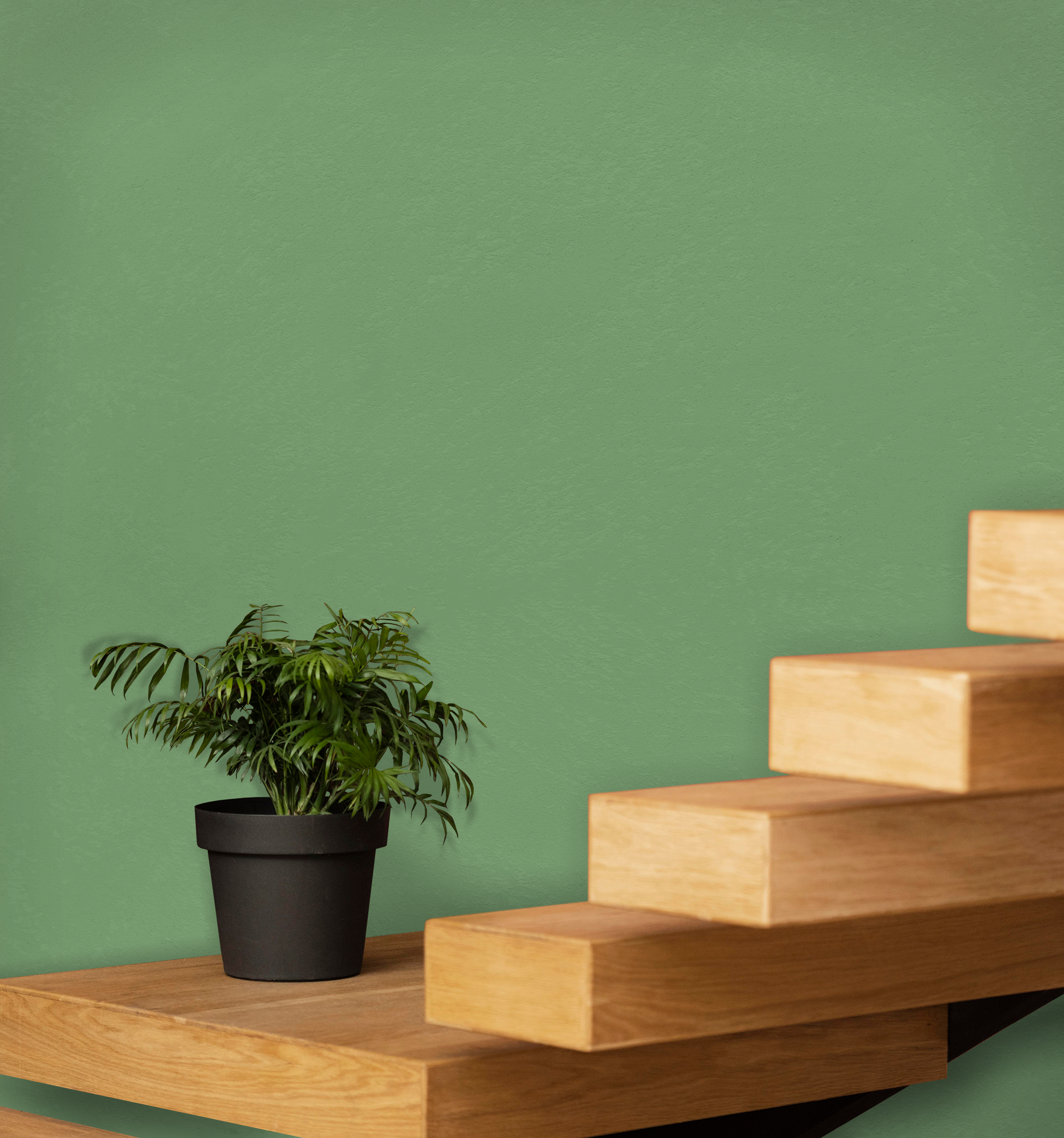 Marmorino Fine - Lime-Based, Semi-Fine Grain Venetian Plaster