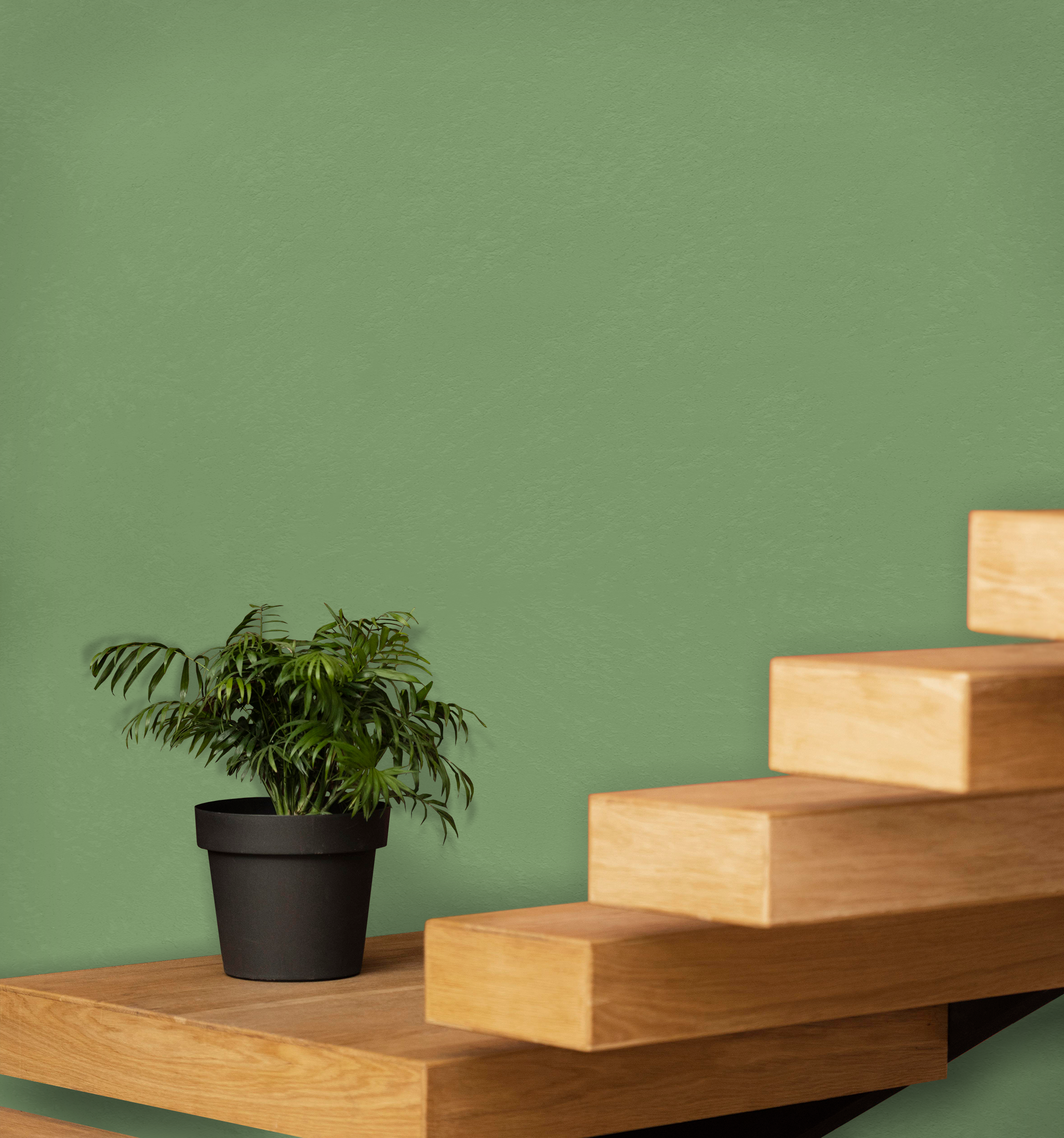 Marmorino Fine - Lime-Based, Semi-Fine Grain Venetian Plaster