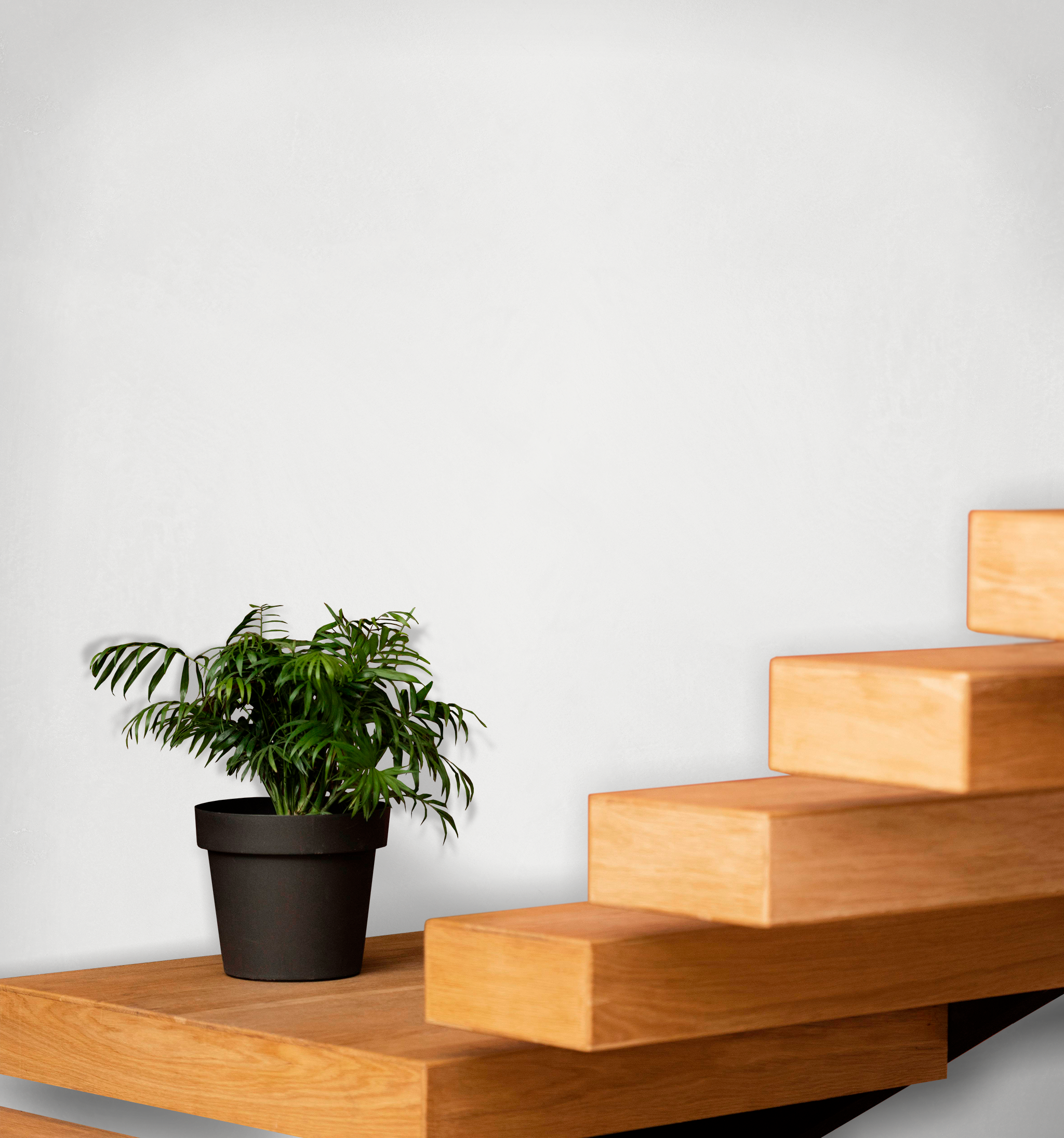 Marmorino Fine - Really Fine Grain Lime-Based Venetian Plaster 1kg (Light Colours)