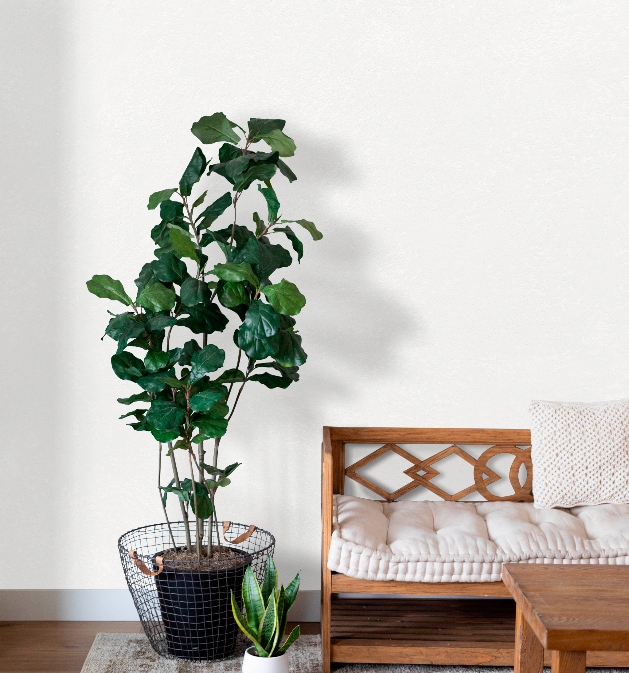 Marmorino Fino - Fine Grain Lime-Based Venetian Plaster 20kg (Light Colours)