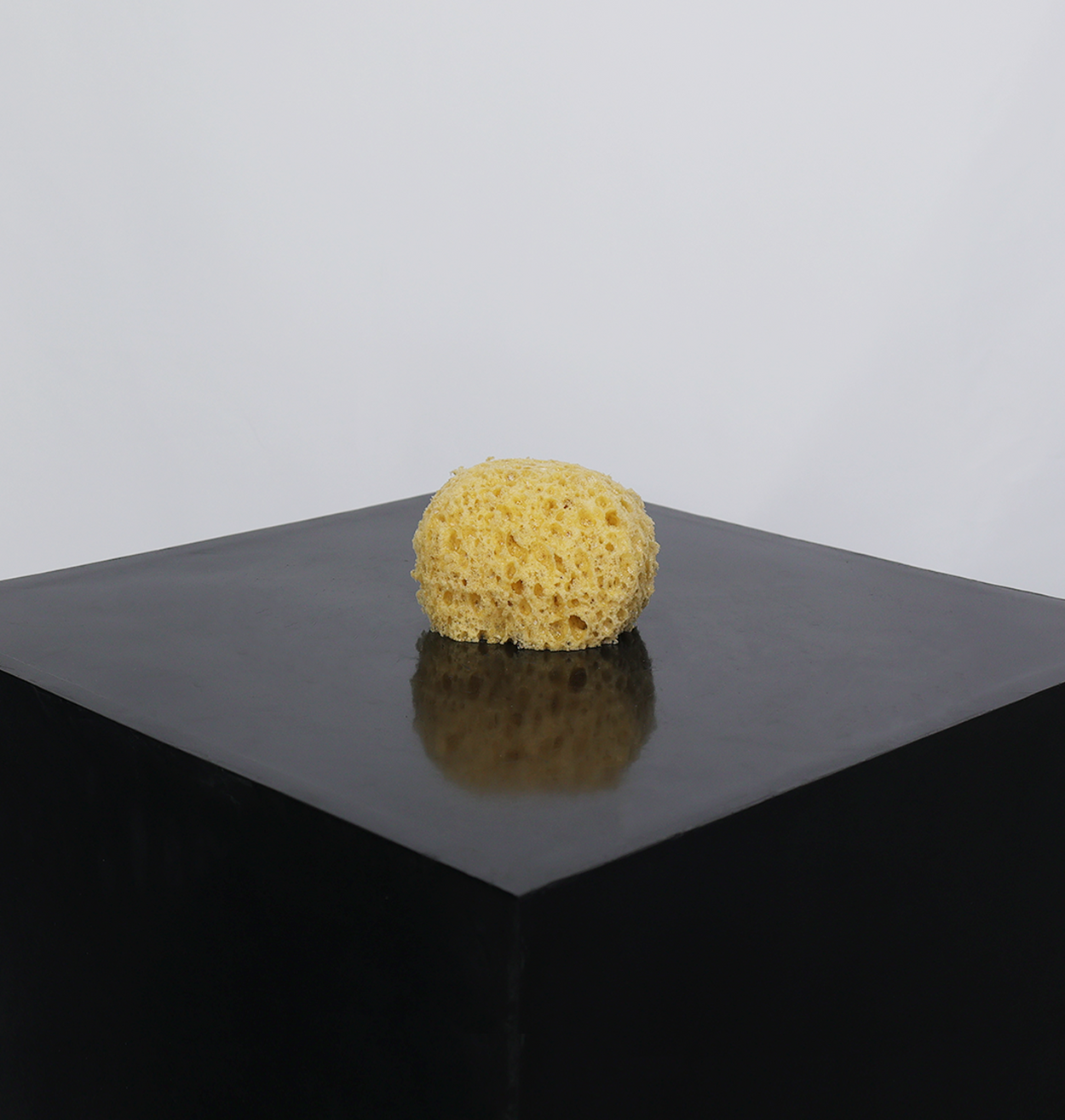 Synthetic Sea Sponge For Decorative Finishes – Impera Italia