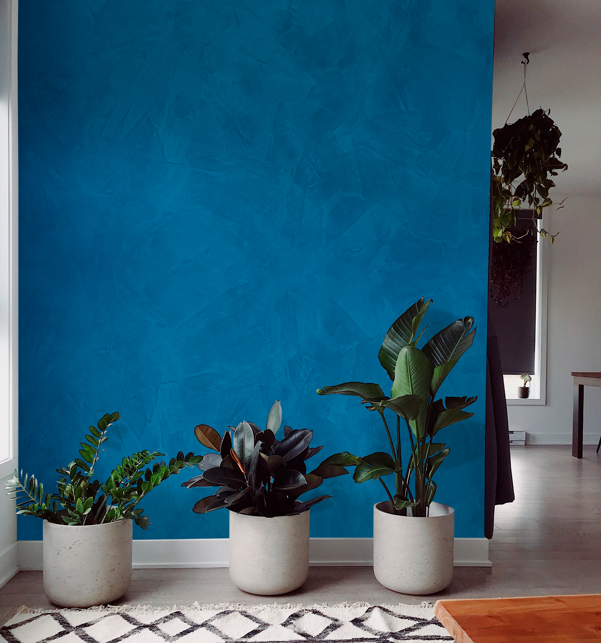 Venetian - High Gloss Lime-Based Polished Plaster 1kg (Dark Colours)