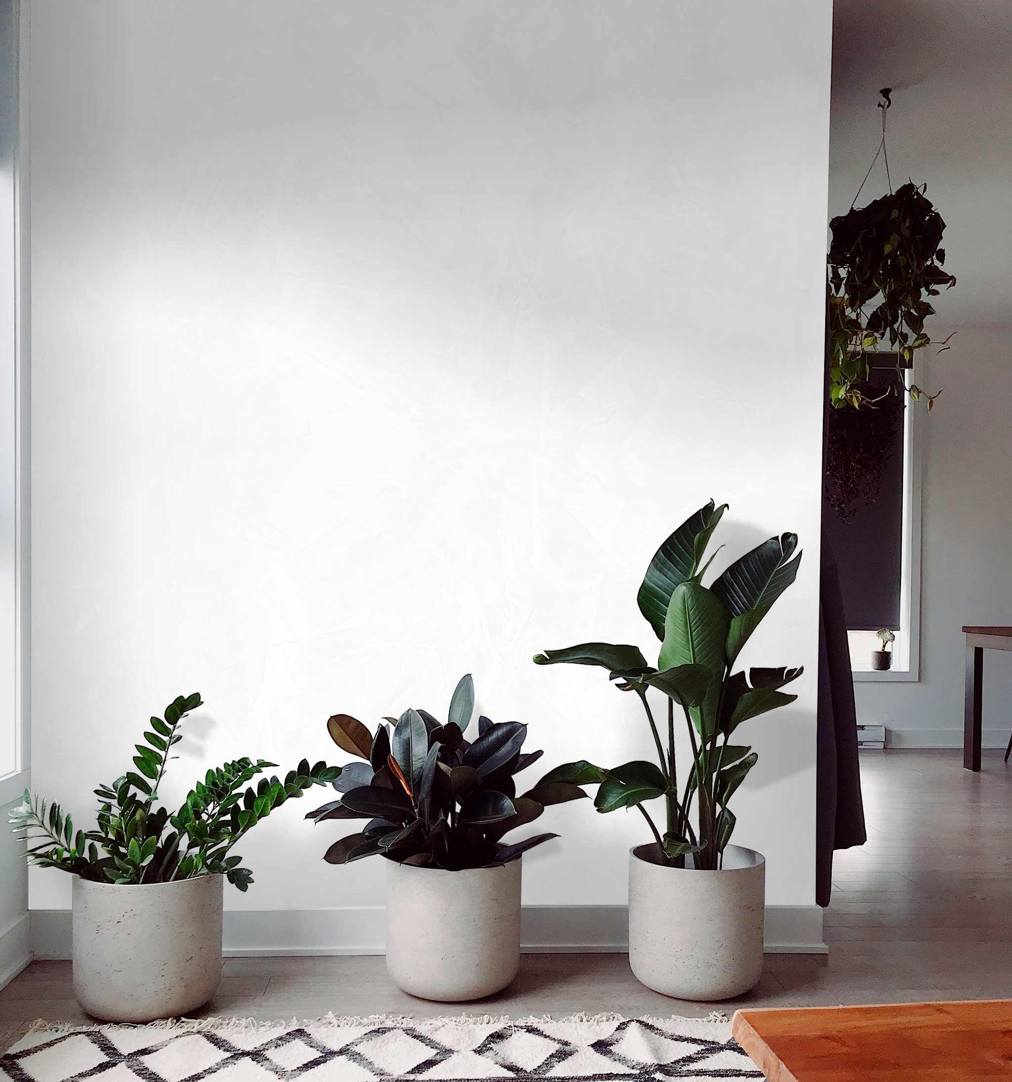 Venetian - High Gloss Lime-Based Polished Plaster 5kg (Light Colours)