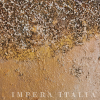 lichene_artwork_bespoke_impera_italia