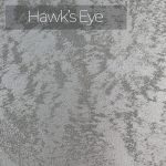 Hawk's-eye